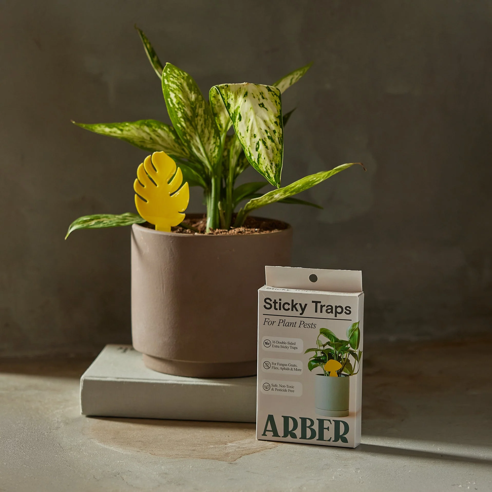 Sticky Traps for Plant Pests - Image 5