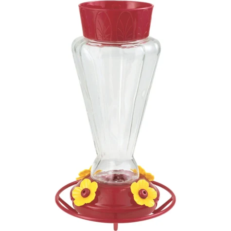 Royal Glass Hummingbird Feeder