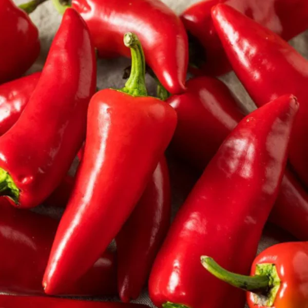 Organic Pepper Plant, Fresno - 3.5" pot