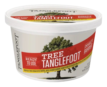 Tree Tanglefoot Insect Barrier, 15oz tub