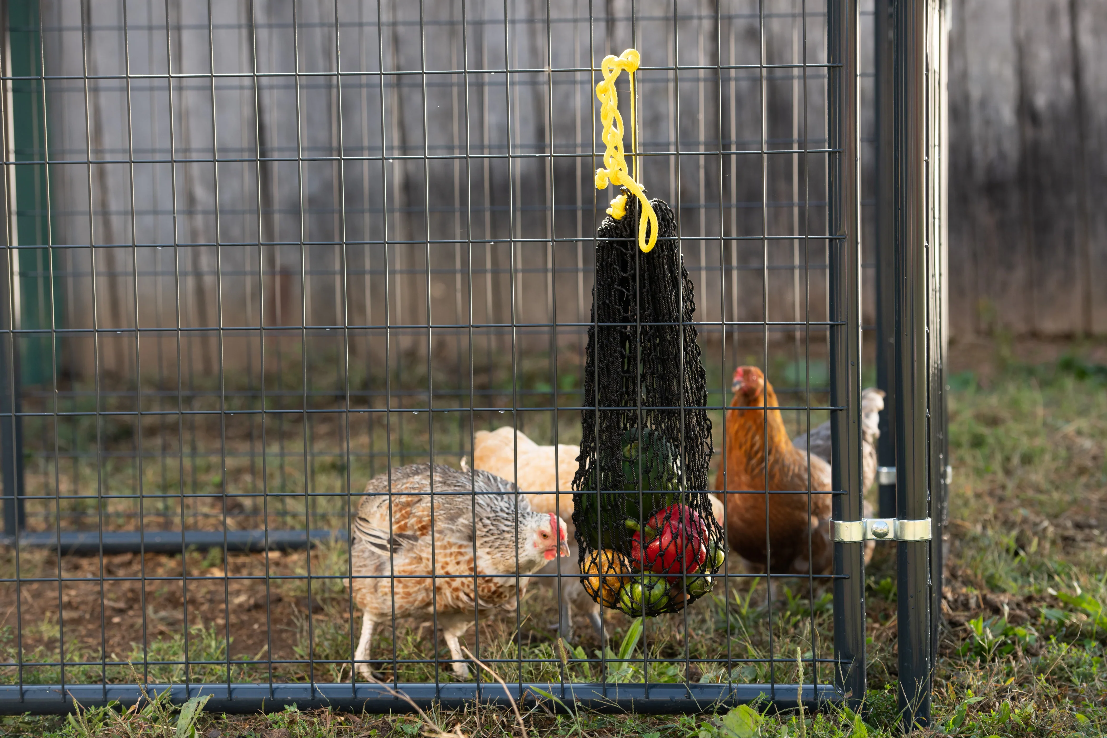 Busy Bag - Chicken Feeder - Image 4