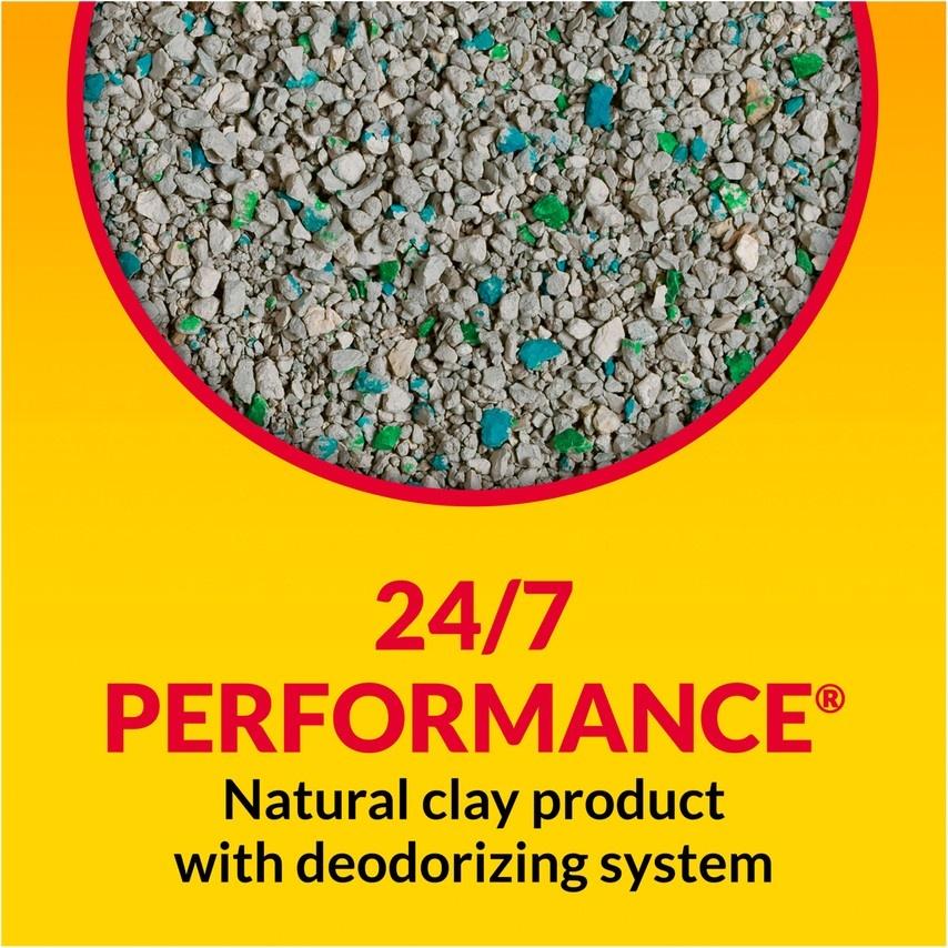 Tidy Cats Non Clumping 24/7 Performance MultiCat Long Lasting Odor Control Cat Litter - Image 2