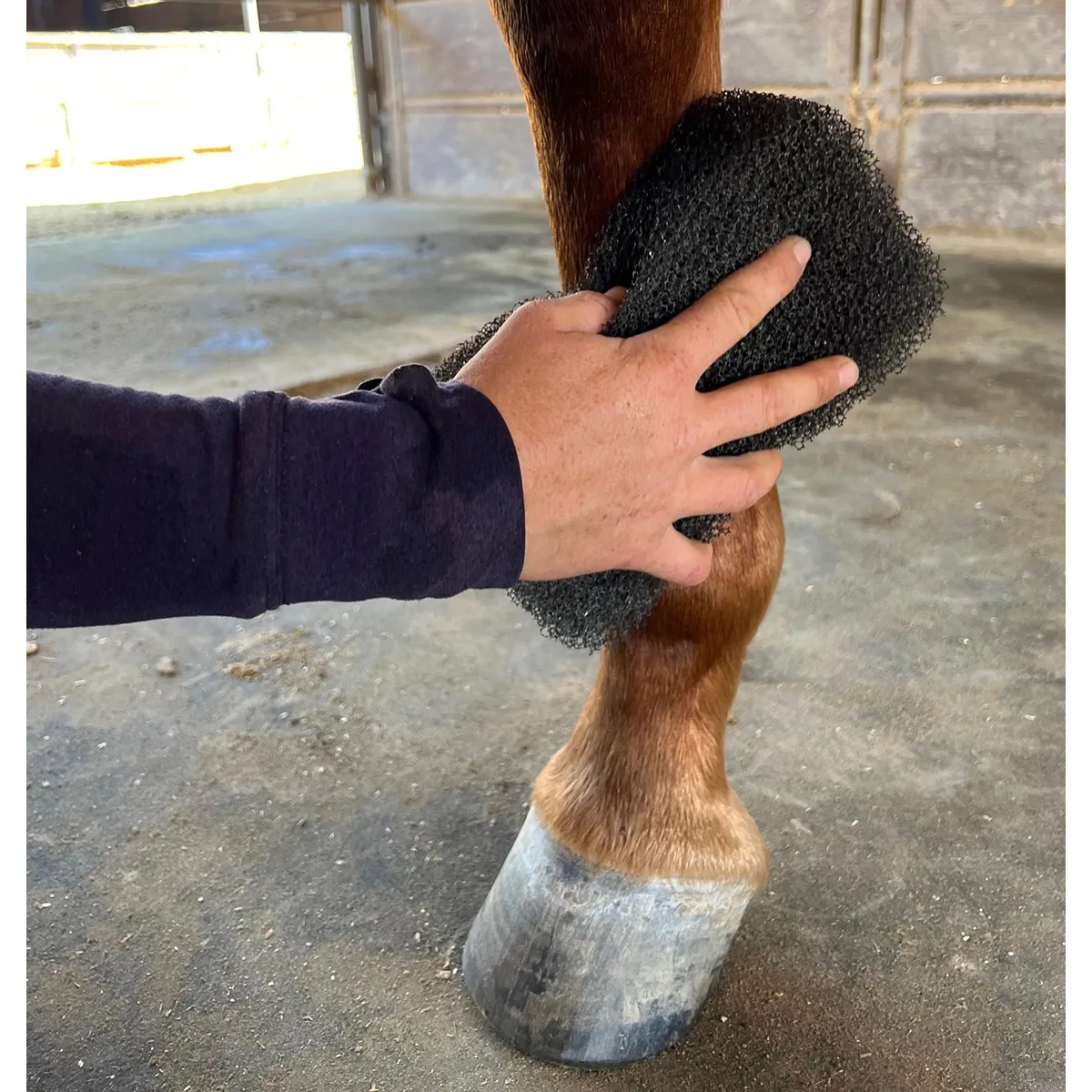 Tiger's Tongue Horse Groomer Epona - Image 6