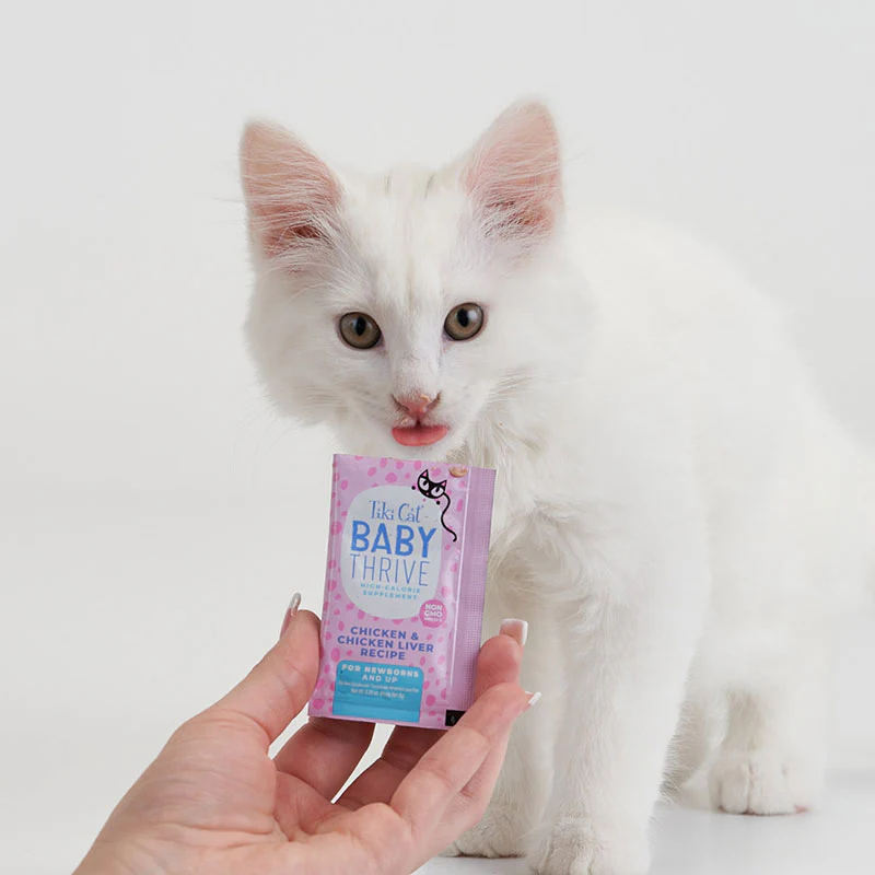Tiki Cat® Baby Thrive Chicken & Chicken Liver Recipe Supplement for Cats, 5.6oz, 20pk - Image 2