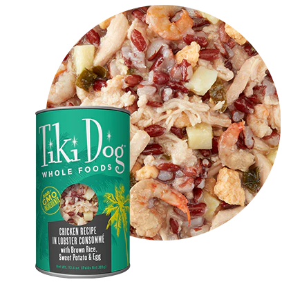 Tiki Dog Whole Foods Chicken Recipe in Lobster Consommé Canned Dog Food, 13.6oz - Image 2