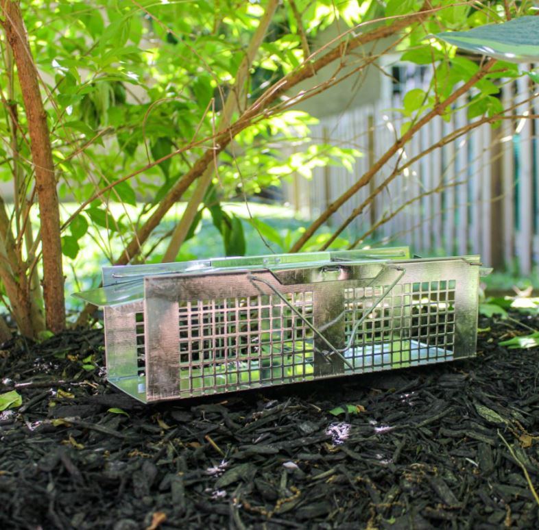 Havahart Trap Extra Small - Image 4