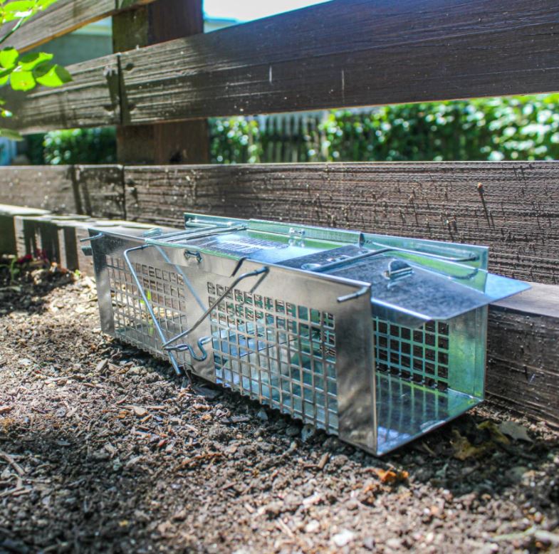 Havahart Trap Extra Small - Image 5