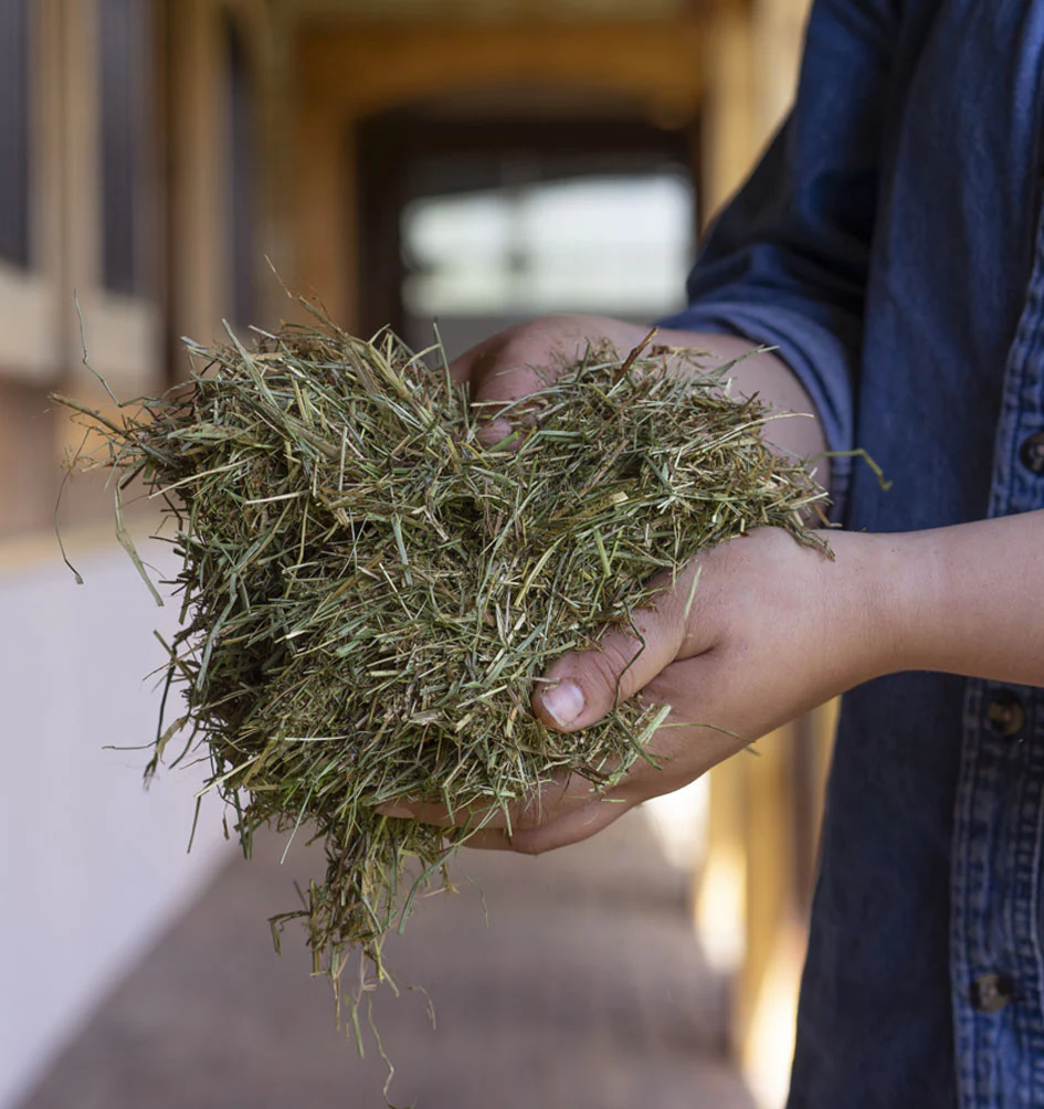 Triple Crown Safe Starch Fortified Forage - Image 2