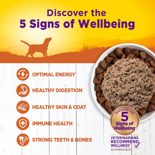 Wellness Complete Health Natural Turkey and Sweet Potato Recipe Wet Canned Dog Food - Image 2