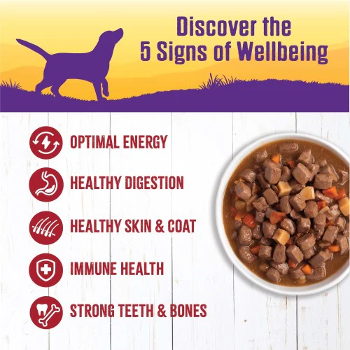 Wellness Grain Free Natural Beef Stew with Carrots & Potato Wet Canned Dog Food - Image 2