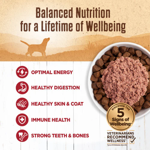 Wellness Natural Grain Free 95% Beef Recipe Adult Wet Canned Dog Food - Image 2