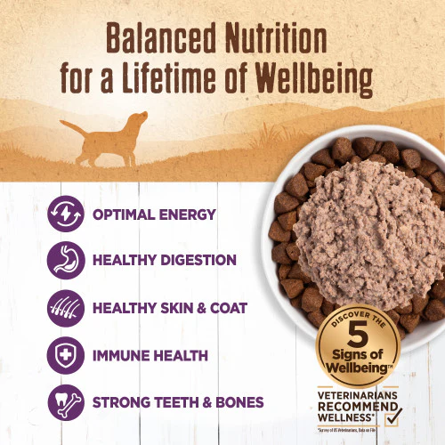 Wellness Natural Grain Free 95% Chicken Recipe Adult Wet Canned Dog Food - Image 2