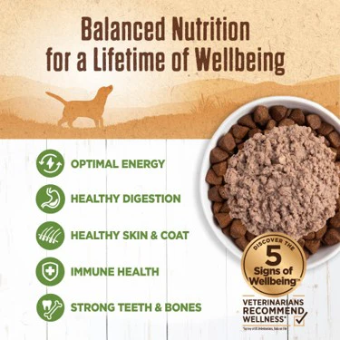 Wellness Natural Grain Free 95%  Lamb Recipe Adult Wet Canned Dog Food - Image 2