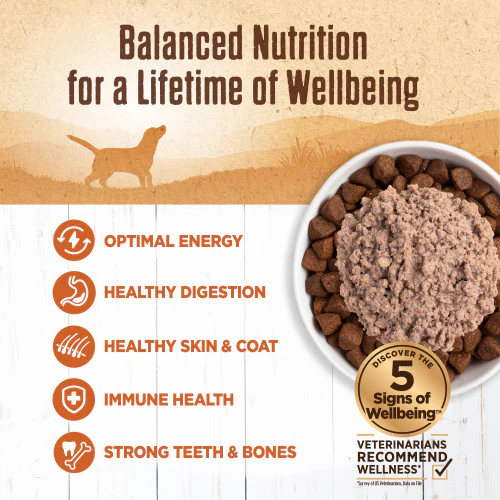 Wellness Natural Grain Free Adult 95% Turkey Canned Dog Food - Image 2