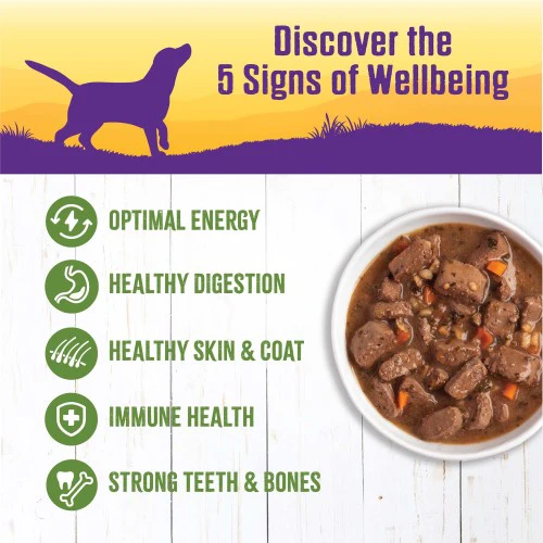 Wellness Natural Lamb and Beef Stew with Brown Rice and Apples Wet Canned Dog Food - Image 2
