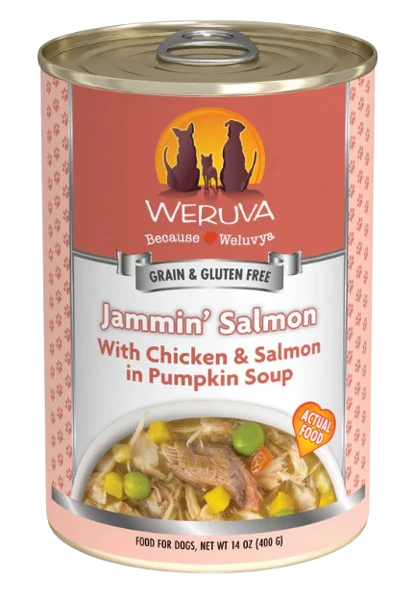 Weruva Classic Dog Jammin' Salmon Chicken & Salmon in Pumpkin Soup Canned Dog Food