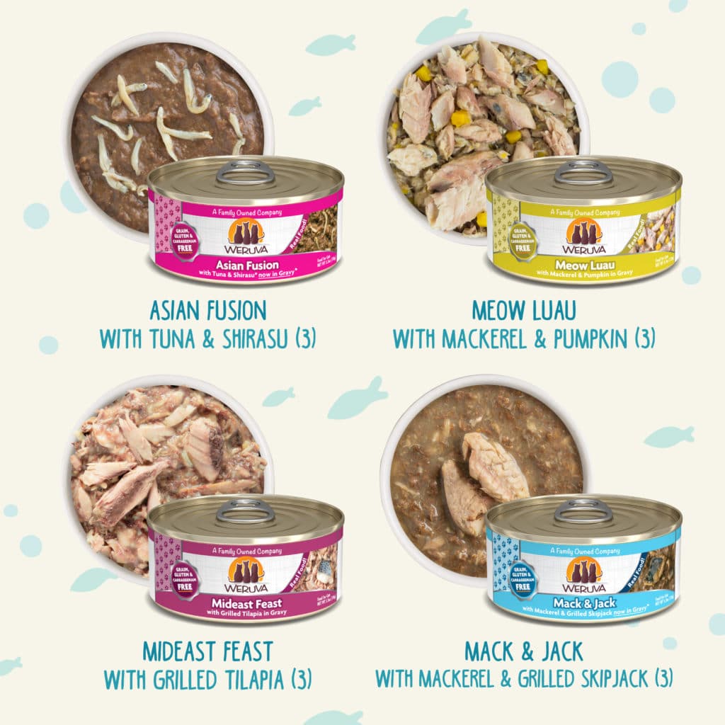 Weruva Seafood & Eat It! Variety Pack Cat Food Cans - Image 4