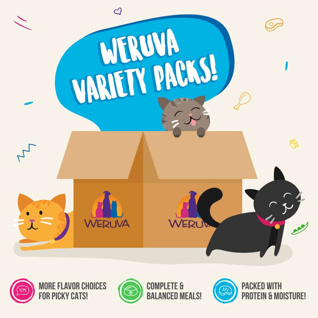 Weruva Seafood & Eat It! Variety Pack Cat Food Cans - Image 6