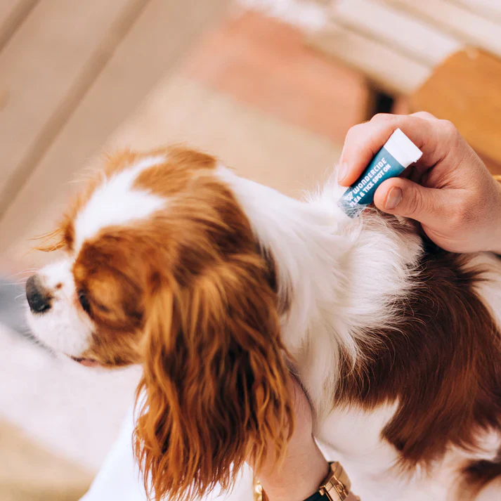 Wondercide Flea & Tick Spot On for Dogs + Cats with Natural Essential Oils - Image 2