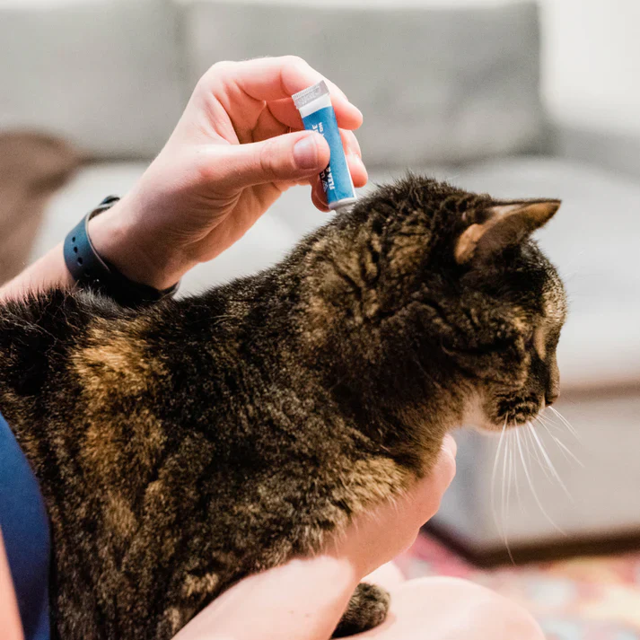 Wondercide Flea & Tick Spot On for Dogs + Cats with Natural Essential Oils - Image 4