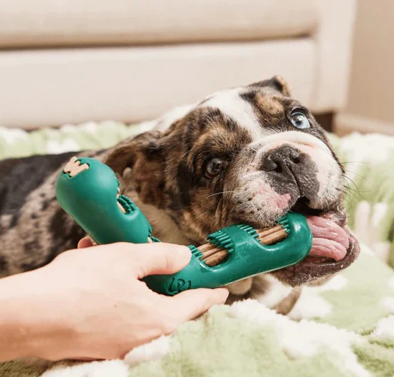 WOOF The Bite n' Brush for Dogs - Image 6