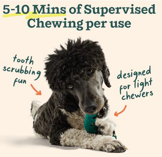 WOOF Bite n' Brush Refills for Dogs - Image 4