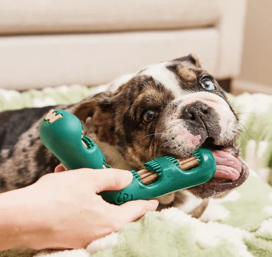 WOOF Bite n' Brush Refills for Dogs - Image 5