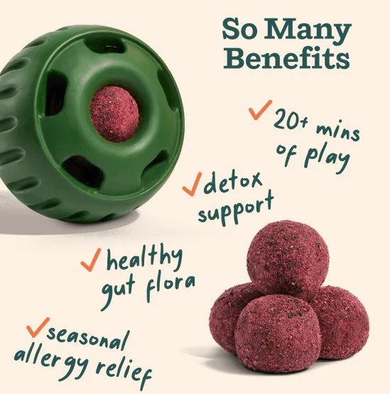 WOOF Pupsicle Allergy & Immunity Pops for Dogs - Image 3