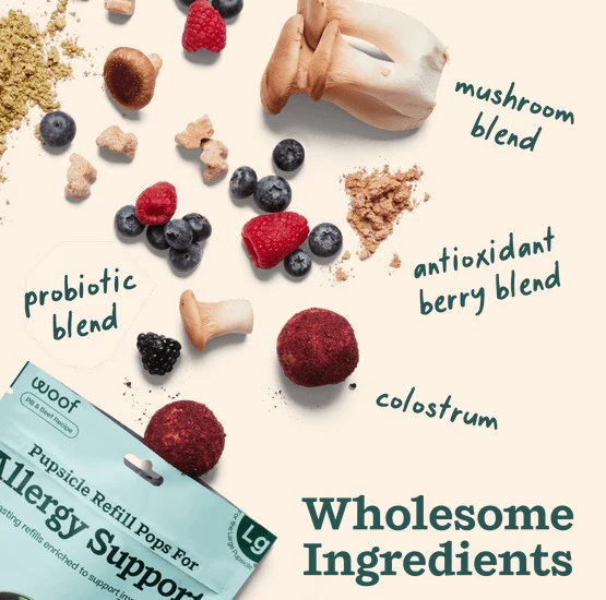 WOOF Pupsicle Allergy & Immunity Pops for Dogs - Image 4