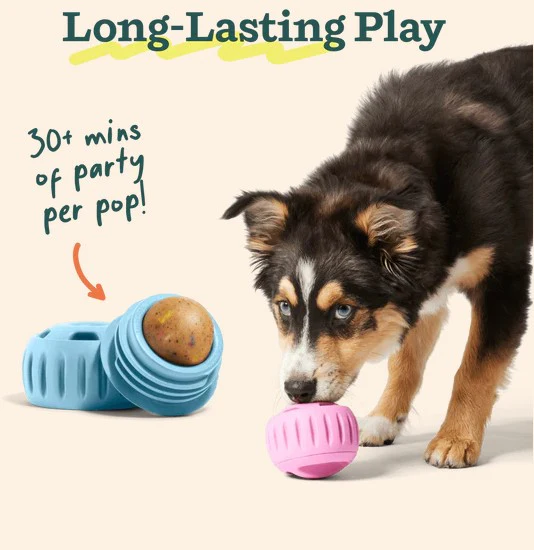 WOOF Pupcicle Birthday Pops for Dogs - Image 4