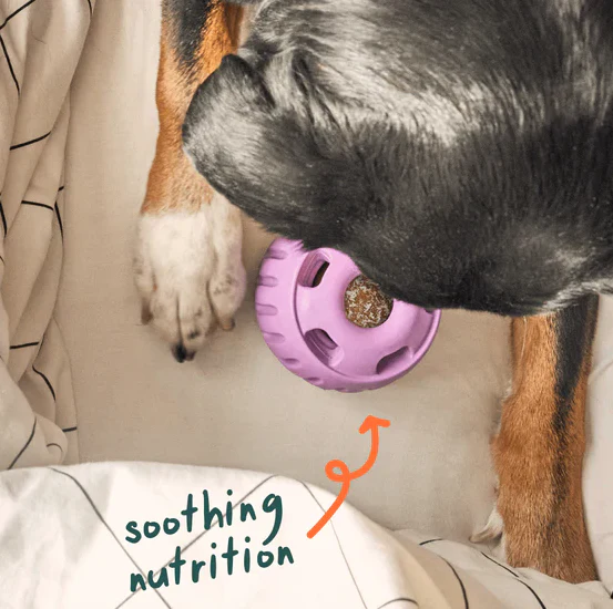 WOOF Calming Wellness Pops Dog Treats - Image 5