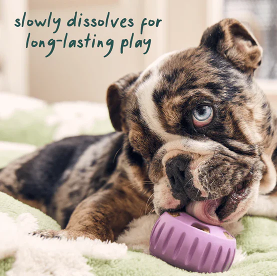 WOOF Calming Wellness Pops Dog Treats - Image 6