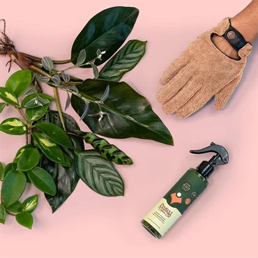 Proud Plant Mum Leaf Care Kit with Glove - Image 3