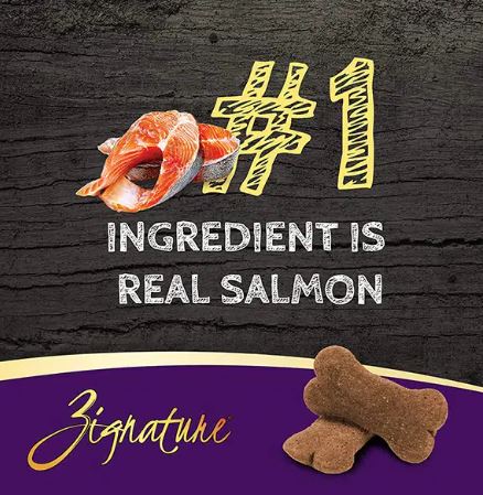 Zignature Ziggy Bar Salmon Formula Dog Biscuit Dog Treats, 12oz - Image 3