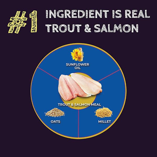 Zignature Select Cuts Trout and Salmon Meal Dry Dog Food - Image 3